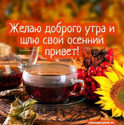 Осенняя гиф открытка \"Доброго утра и хорошей погоды!\" с котиком • Аудио от  Путина, голосовые, музыкальные