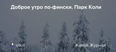 Чашка для чая \"Кружка с принтом Доброе утро Владимир!\", 330 мл, 1 шт -  купить по доступным ценам в интернет-магазине OZON (640777718)