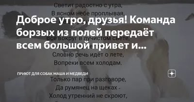 Благотворительная акция «Доброе утро» в Нижнем | Sobaka.ru