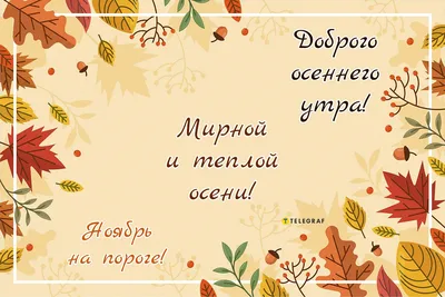 Виктория Иовова - Доброе утро, моя любимая команда! 🤗☀....... | Facebook