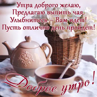 Доброе утро 😸 | Типичное Енакиево | ВКонтакте