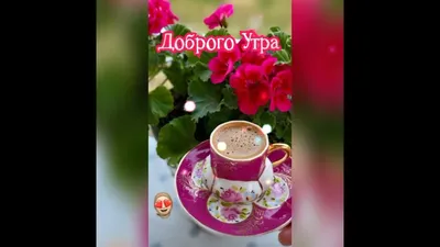 доброе утро моя королева любимая｜TikTok Search