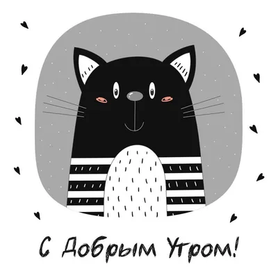 котэ с добрым утром / смешные картинки и другие приколы: комиксы, гиф  анимация, видео, лучший интеллектуальный юмор.