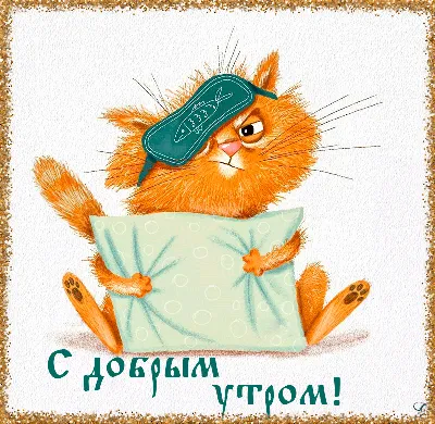 Жизнь и заметки | Кот говорит вам: Доброе утро! 🤣 #кот #коты #доброеутро |  Дзен