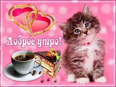 Прикольный кот: открытки с добрым утром - инстапик | Доброе утро, Открытки,  Милые рисунки