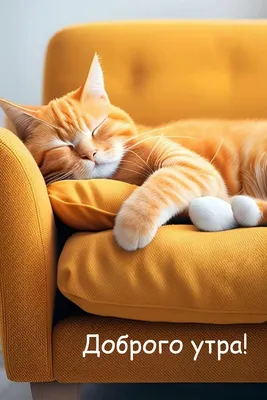 Доброе утро! Забавный рыжий кот …» — создано в Шедевруме