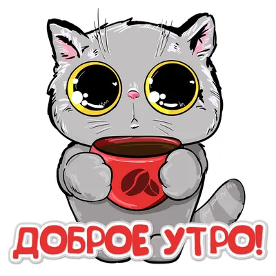 доброеутро #сдобрымутром #утродоброе #утро #котик #кот #котики #коты ... |  TikTok