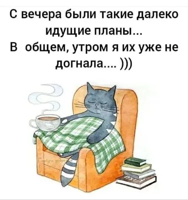 Картинки \"С Добрым Утром, Котик!\" (100+)