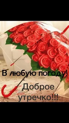 Можно Вас встретить завтра, в 10 нормально?- спросил Влад | Будни многомамы  | Дзен