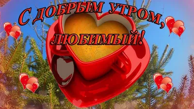 ❤️❤️❤️Доброе утро, любимый❤️❤️❤️ С добрым утром мой родной! - YouTube