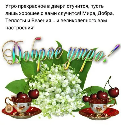Алина Г. on X: \"@Kovalenk7Ldmila Людочка, доброе утро! 🤗 Спасибо большое!  Хорошего дня тебе сегодня, улыбок, тепла и везения! Удачи, любви и  вдохновения! Светлого и солнечного настроения! 🌺☀️❤️  https://t.co/sjaBZ9NjJM\" / X