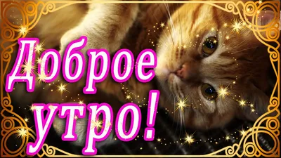 Людочка! Доброе утро! Открытка на серебряном фоне. Картинка с кофе, молоком  и кексами к чаю. Шоколад. Утренний кофе.