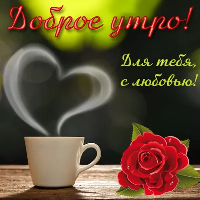 Алина Г. on X: \"@Kovalenk7Ldmila Людочка, доброе утро! Спасибо тебе  огромное! Прекрасное настроение - это большой положительный заряд на весь  день, который поможет справиться со всеми проблемами и трудностями. Пусть у  тебя