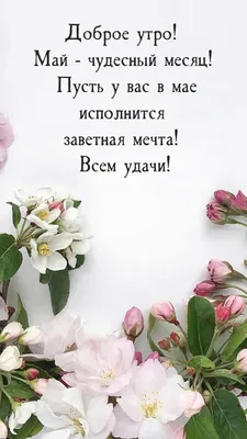 Открытки \"Доброго майского утра!\" (100+)