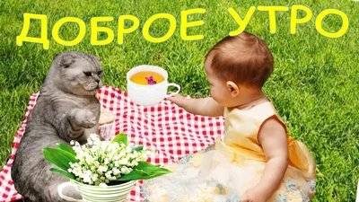 Доброе утро!