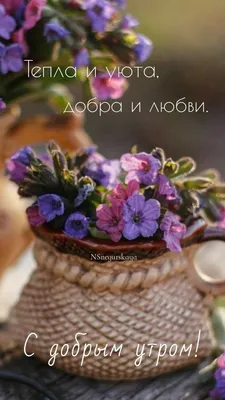 Доброе утро понедельника! 1 Мая #1мая #сдобрымутром #утродоброе #перво... |  TikTok