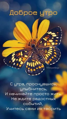 Лёгкого Понедельника! 29 мая. #сдобрымутром #утродоброе #доброеутро #д... |  TikTok