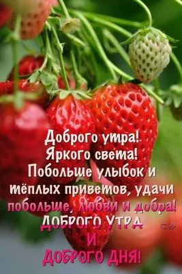 Пин от пользователя Татьяна на доске доброе утро | Доброе утро, Открытки,  Утренние цитаты