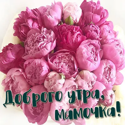 Гифки \"Доброе утро, Мамочка, Мама!\" (50 шт.)