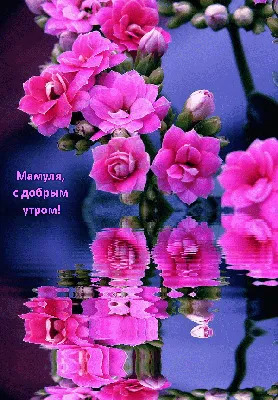 С добрым утром, мамочка | Счастливых праздников, Подарки маме, Доброе утро