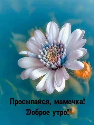 Картинки с добрым утром и хорошего дня маме