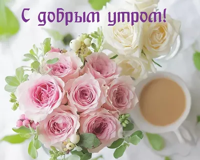 Соотечественники Иордании | ДОБРОЕ УТРО ГРУППА