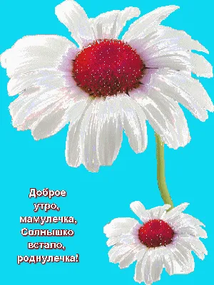 Доброе утро, мамочка!