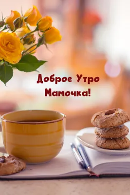 Мем: \"Чудесных и приятных выходных! Пускай давленье будет в норме! Картинок  осени красивых и цветных! А ты будь бодрой и в отличной форме!! Доброе утро  мамулечка!\" - Все шаблоны - Meme-arsenal.com
