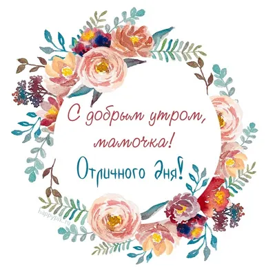 С добрым утром!🌞💐Самого хорошего дня и отличного настроения!🥰#сдобр... |  TikTok