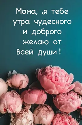 Доброе утро, мои друзья. Сегодня Троицкая Родительская Суббота. Завтра  Великая… | Мавридика де Монбазон | Дзен