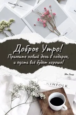 Olgа🌺🌿 on X: \"@OlgaLubimova7 Спасибо... Доброе утро! 🤗🌺  https://t.co/B3o6jRv6S3\" / X