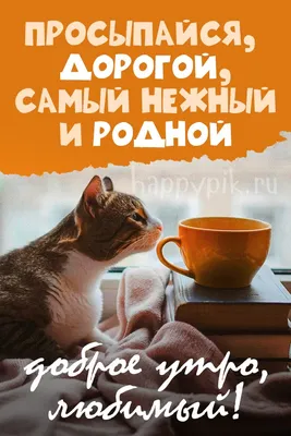 Пожелания хорошего дня в картинках, своими словами, в стихах, в смс и  христианские пожелания доброго дня — Украина