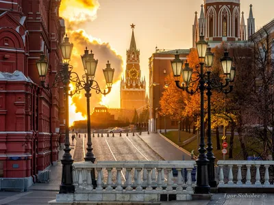Ежедневная речная прогулка «Доброе утро, Москва!» от Москва-Сити до Парка  Горького