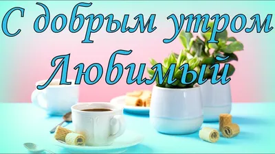 доброеутро #любимый #муж #сдобрымутром_хорошегодня #сдобрымутромлюбим... |  TikTok