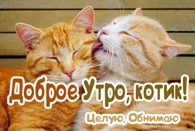 Картинка - Доброе утро, мой муж!.