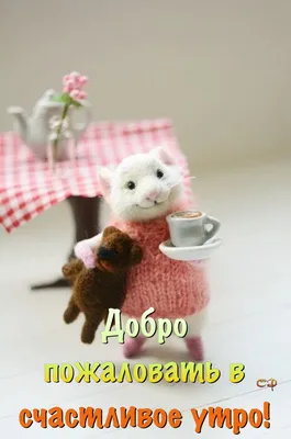 Pin by Светлана on Доброе утро | Felt toys, Handmade felt, Needle felting