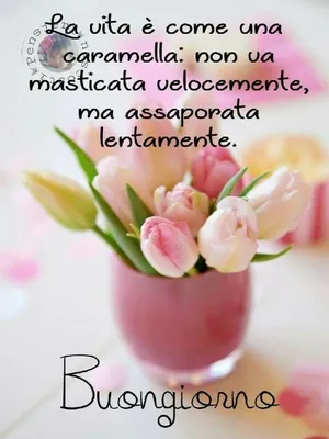 Приветствия и пожелания со словом BUONO / BUONA Buongiorno! — Доброе утро!  Buon risveglio! —.. | ВКонтакте