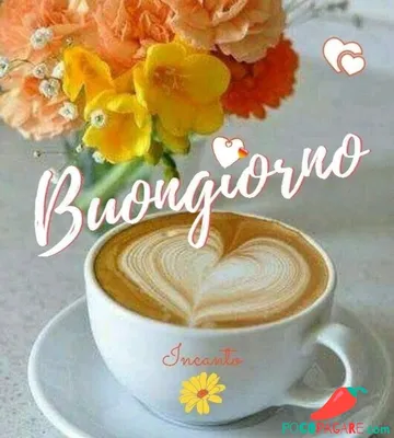 Доброе утро на итальянском Buongiorno Иллюстрация штока - иллюстрации  насчитывающей кафетерий, график: 147253614