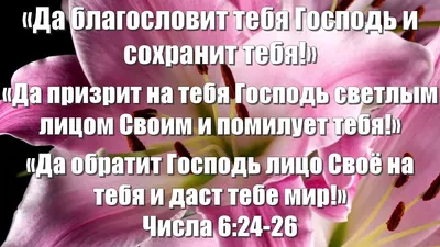 Идеи на тему «Доброе утро» (8) | доброе утро, счастливые картинки, утренние  сообщения