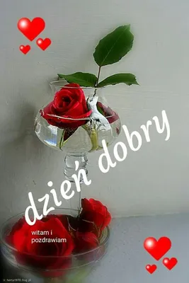 Pin by Zofia on Dzień dobry | Good morning funny, Good night i love you,  Good morning