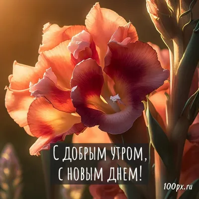 Доброе утро ☕ благословенного дня 🌸 #вознесение #праздник #будьтесчастливы  #июнь#лето2021 #настроениелюбовь #всемдобра #жизньпрекрасна… | Instagram