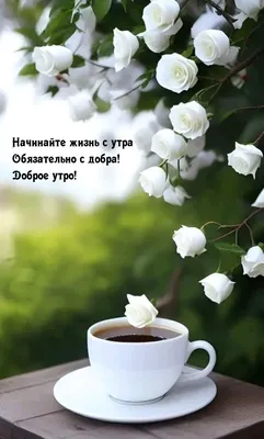 С добрым утром | Доброе утро, Вдохновляющие цитаты, Утренние цитаты