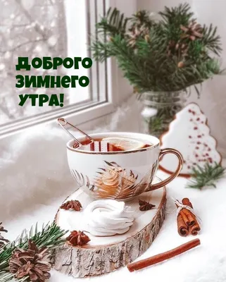 Доброе утро, друзья! | Панков. Вера, надежда, любовь. | Дзен