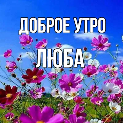 Доброе утро, я люблю тебя! Практики осознанности и самосострадания на  каждый день, Шона Шапиро – скачать книгу fb2, epub, pdf на ЛитРес