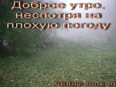 Картинки с добрым утром с зонтом и дождь (63 фото) » Картинки и статусы про  окружающий мир вокруг