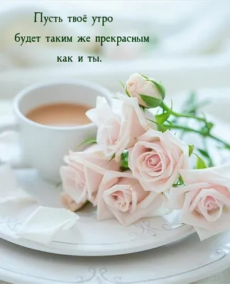 Самая нежная картинка доброе утро - GreetCard.ru