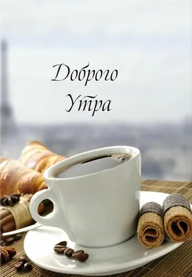 Доброе утро,солнце!\" - Нина Христианова - ДОБРОЕ УТРО,СОЛНЦЕ!🌞 Раннее утро,как  предчувствие,как предощущение чего-то важного,большого,светлого.В природе  всё ещё так неясно и зыбко.Это подчёркивает - Другое, Проза - Литра.Онлайн  - Литературный журнал и ...