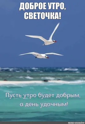 Открытка с именем Ниночка С добрым утром. Открытки на каждый день с именами  и пожеланиями.