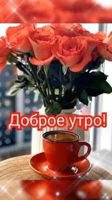 Пин от пользователя Оксана Не узнаешь на доске Доброе утро | Красивые розы,  Радужные розы, Розовые розы