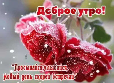 🌞 С добрым осенним утром! 🍁 | Поздравления, пожелания, открытки с Новым  годом! | ВКонтакте